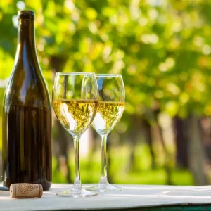 Italian White Wines – Pinot Grigio