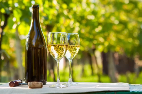 Italian White Wines – Soave Classico